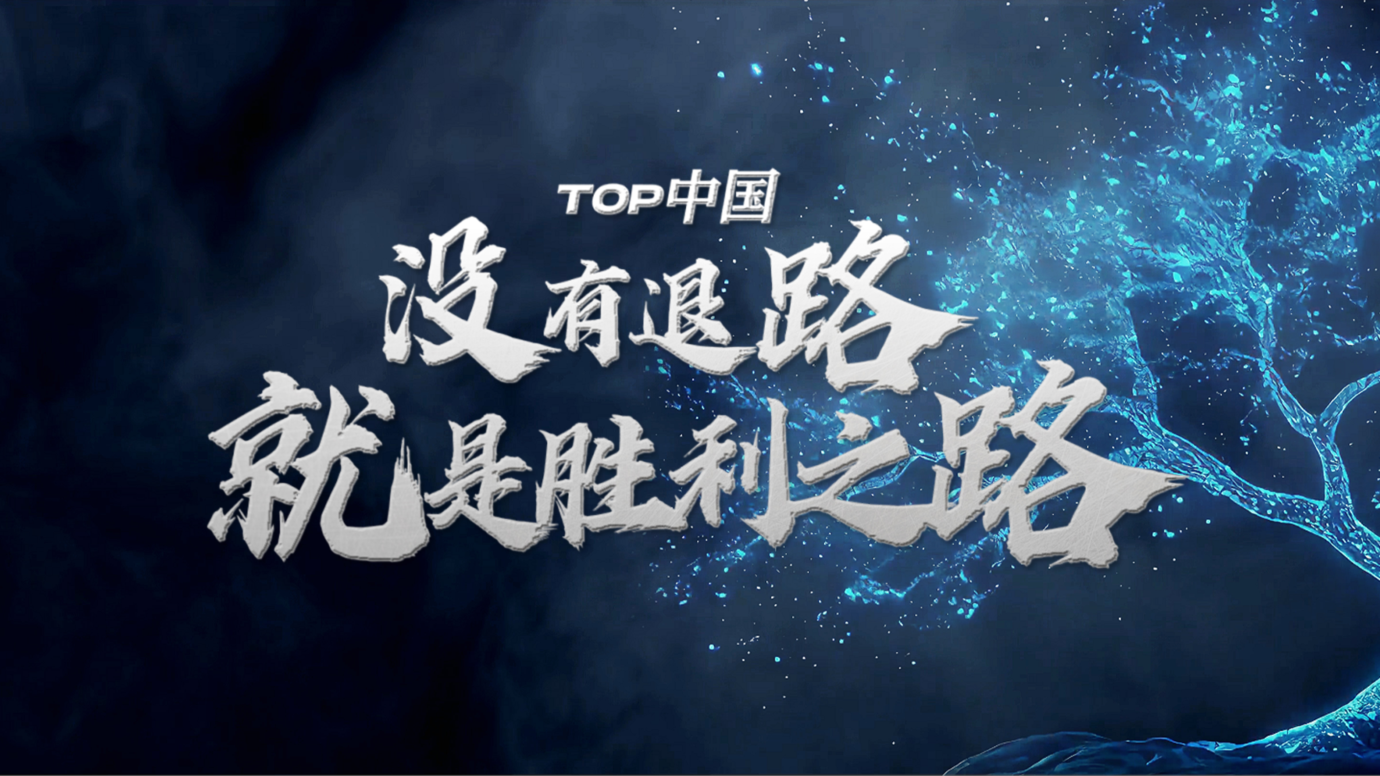 关于斯洛伐克队取得关键胜利，前路开阔的信息