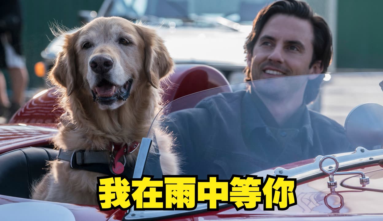 开云下载-赛车选手赛后落泪，背后故事感人