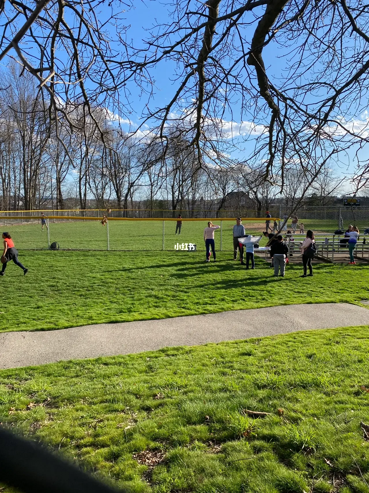 开云体育官方网站-棒球场外新闻不断，话题热度爆表的简单介绍