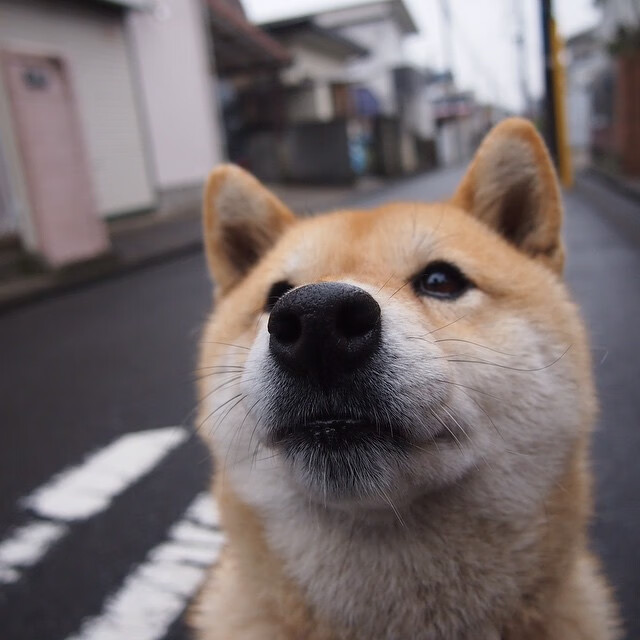开云体育入口-从贝蒂斯到英超，苏亚雷斯的跨域统治力与中国市场的隐形强压