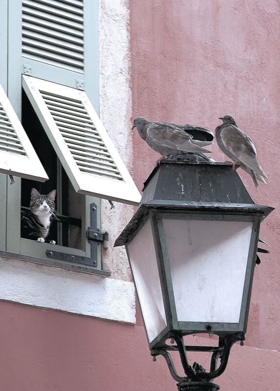 开云平台-亚洲风暴，李刚仁爆发引领韩国，罗马决胜局轻取日本