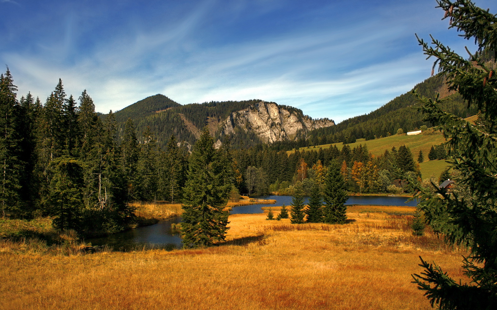 开云体育中国-从落后18分到惊天逆转！尼克斯逆转浙江队，哈利伯顿导演逆转好戏