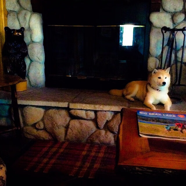 魔术硬仗取胜奇才,伦纳德化身致命刺客锁定胜局