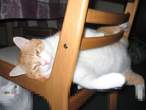 弗拉霍维奇点燃巴尔干之魂，西班牙血拼克罗地亚终现冠军底色