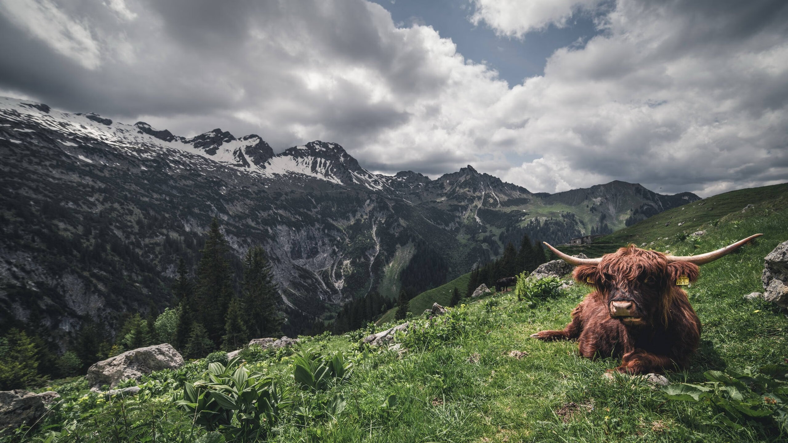 惊天逆转！非洲雄鹰绝境翻盘塞维利亚，劳塔罗梅开二度成关键先生