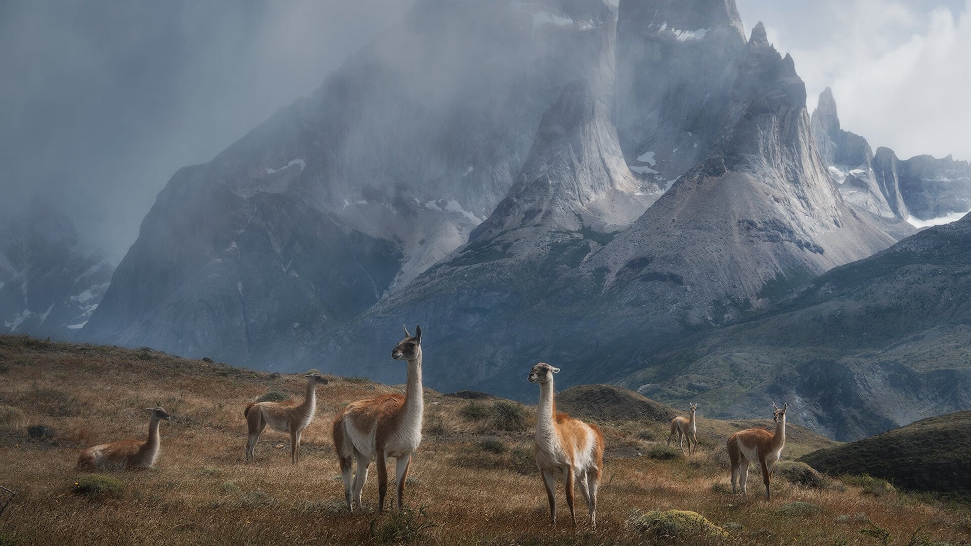 当狐狸指挥天空，老鹰用一场团队绞杀，为个人英雄主义写下冰冷注脚