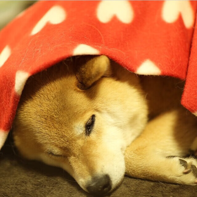 开云体育APP下载-铁血蓝军坍塌夜，萨卡如神执笔书写比赛剧本