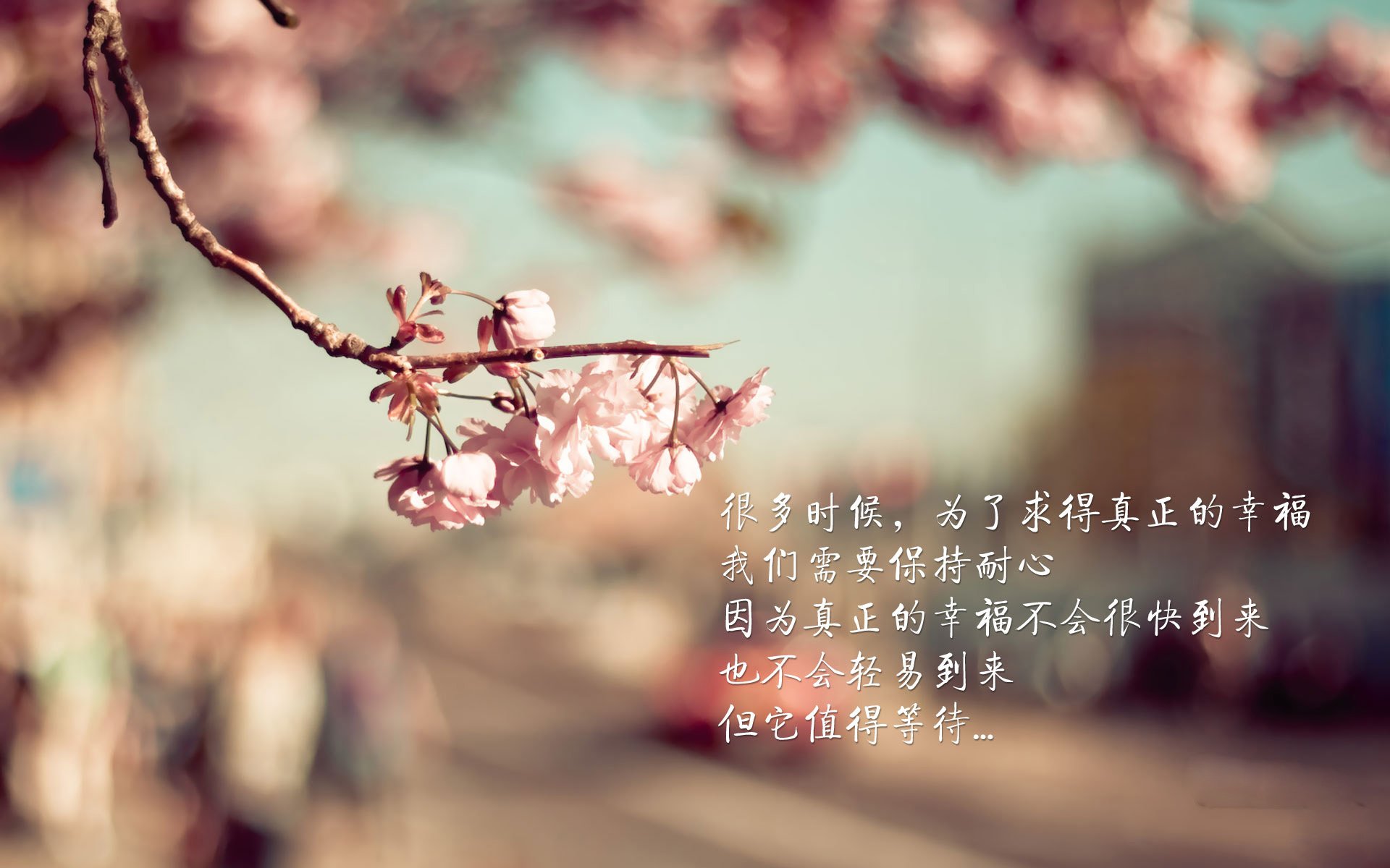 开云APP-勇士碾压步行者，拉梅洛·鲍尔关键时刻挺身而出