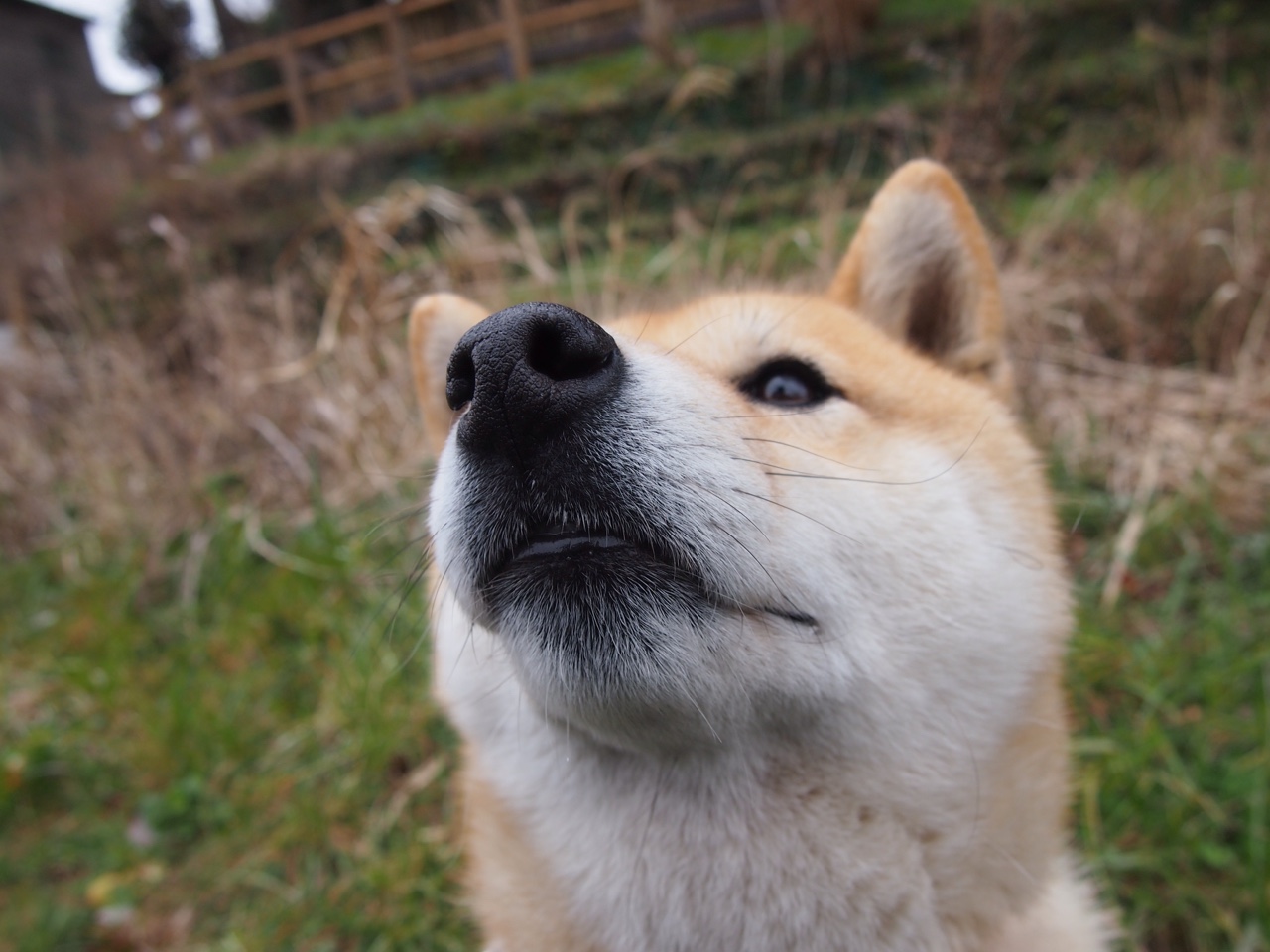 开云体育登录-铁闸擎天！阿坎吉补时天降神兵，曼城逆袭五连冠传奇夜