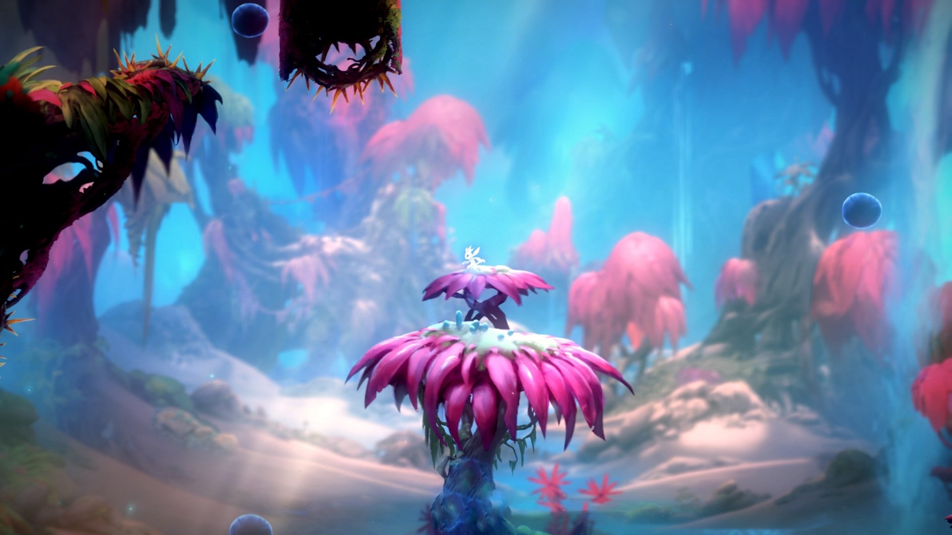 红魔亮剑，马里战场，当足球的悬念终结照见真实战场的关键战不手软