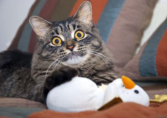 开云体育入口-魔幻之夜，爱德华兹狂轰51分，76人加时险胜吉林队