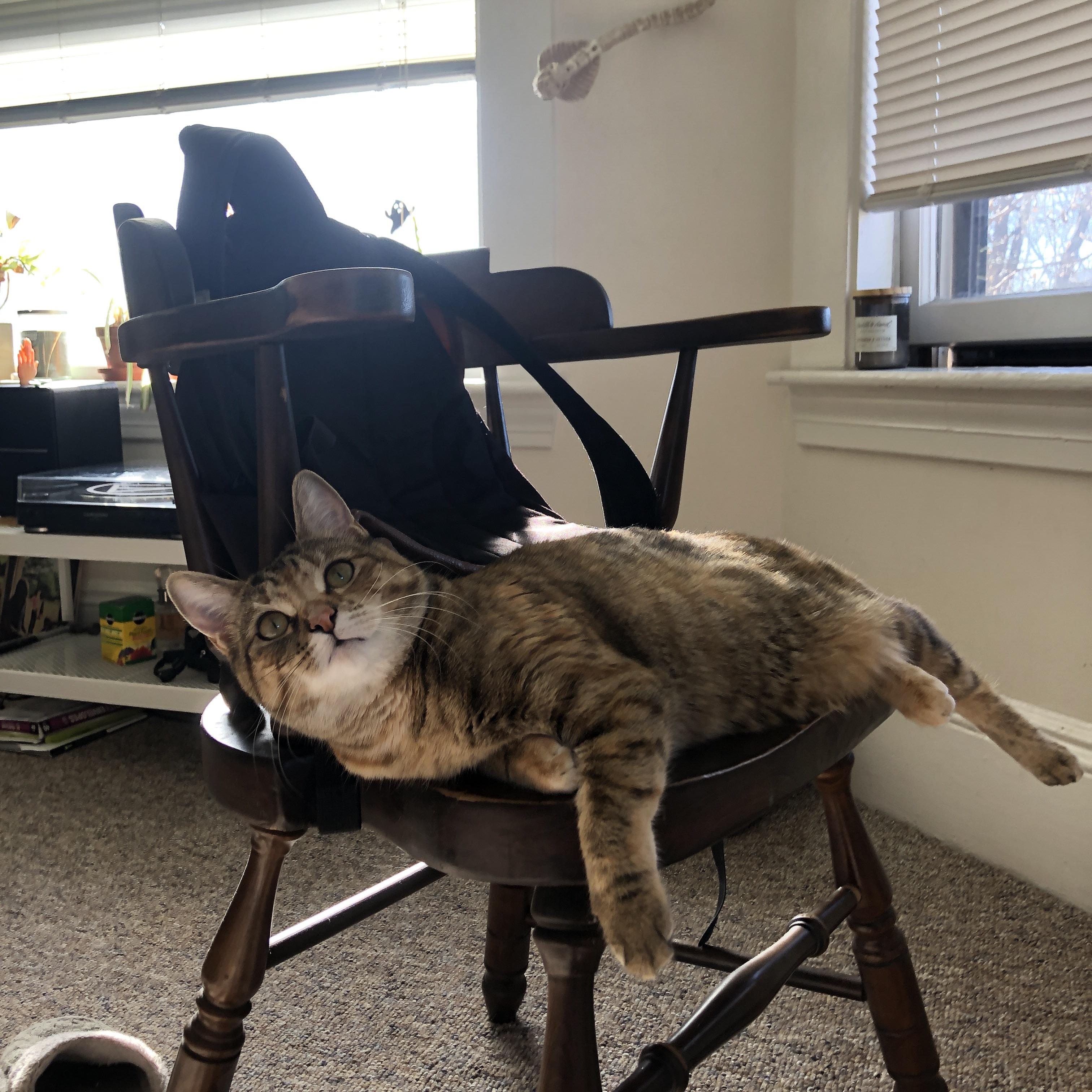 神兵天降！爱德华兹的教科书式演出，重写森林狼命运