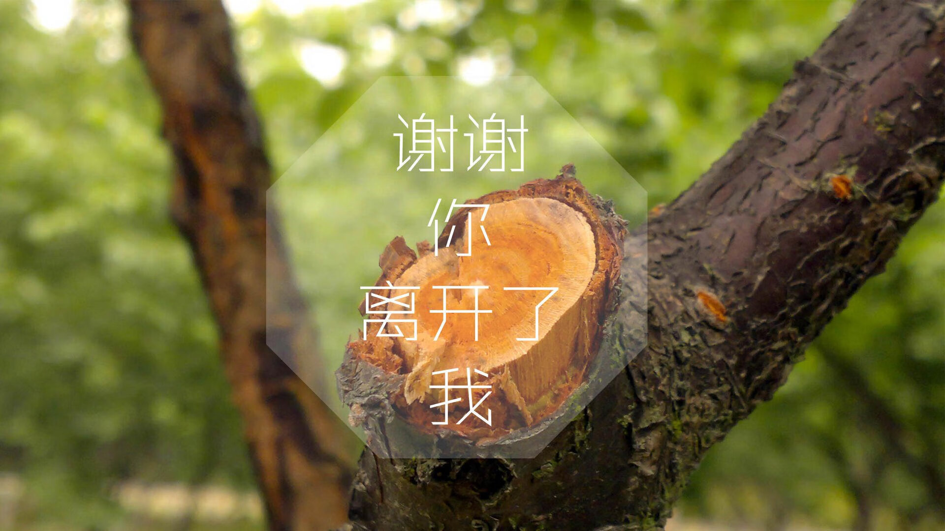 开云APP-冰与火之歌，2026世界杯F组关键战，匈牙利爆冷完胜西班牙，梅西绝境带队取胜