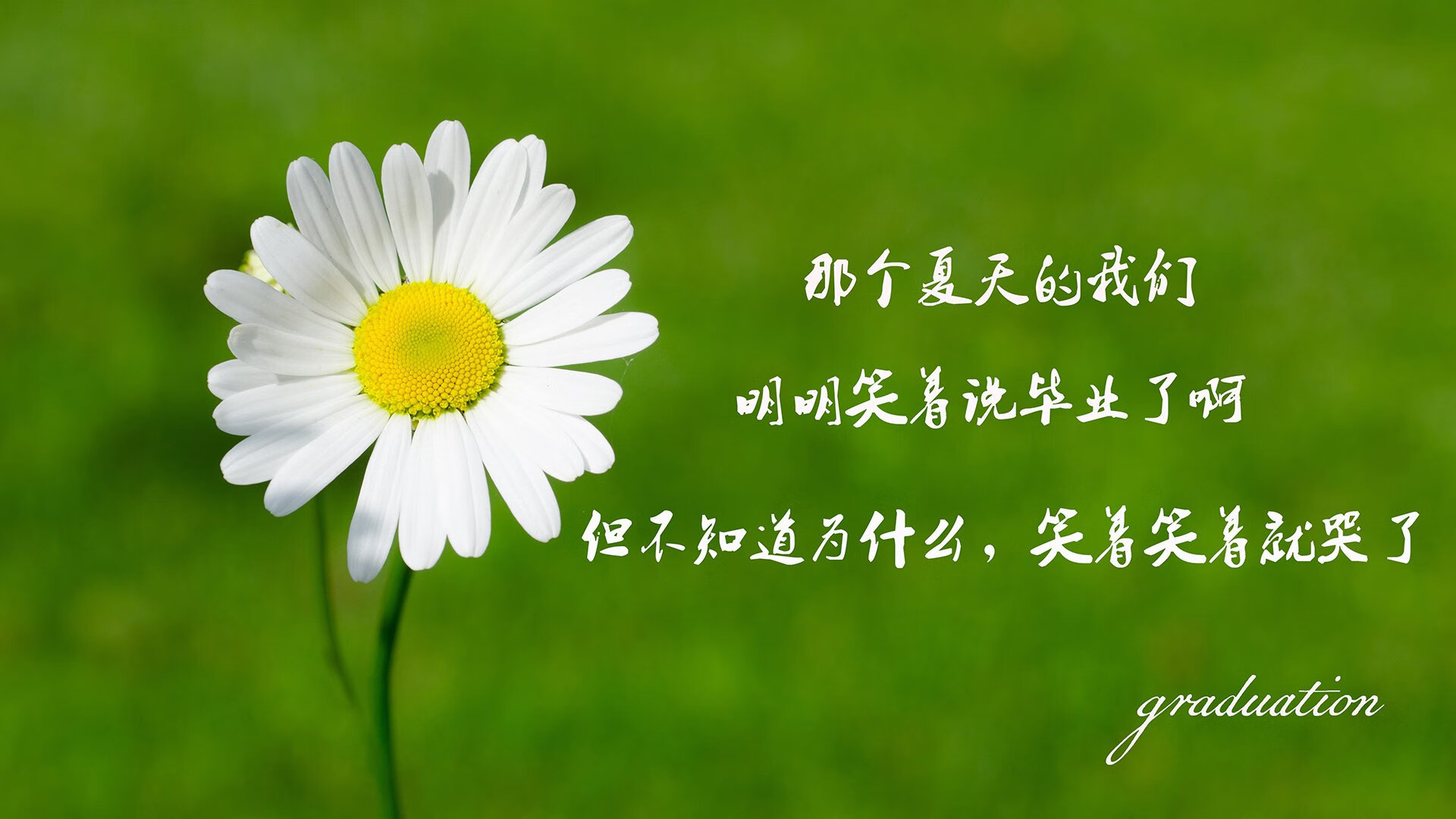 2026世界杯G组关键战，伊朗横扫越南，哈基米运筹帷幄，战术完美奏效