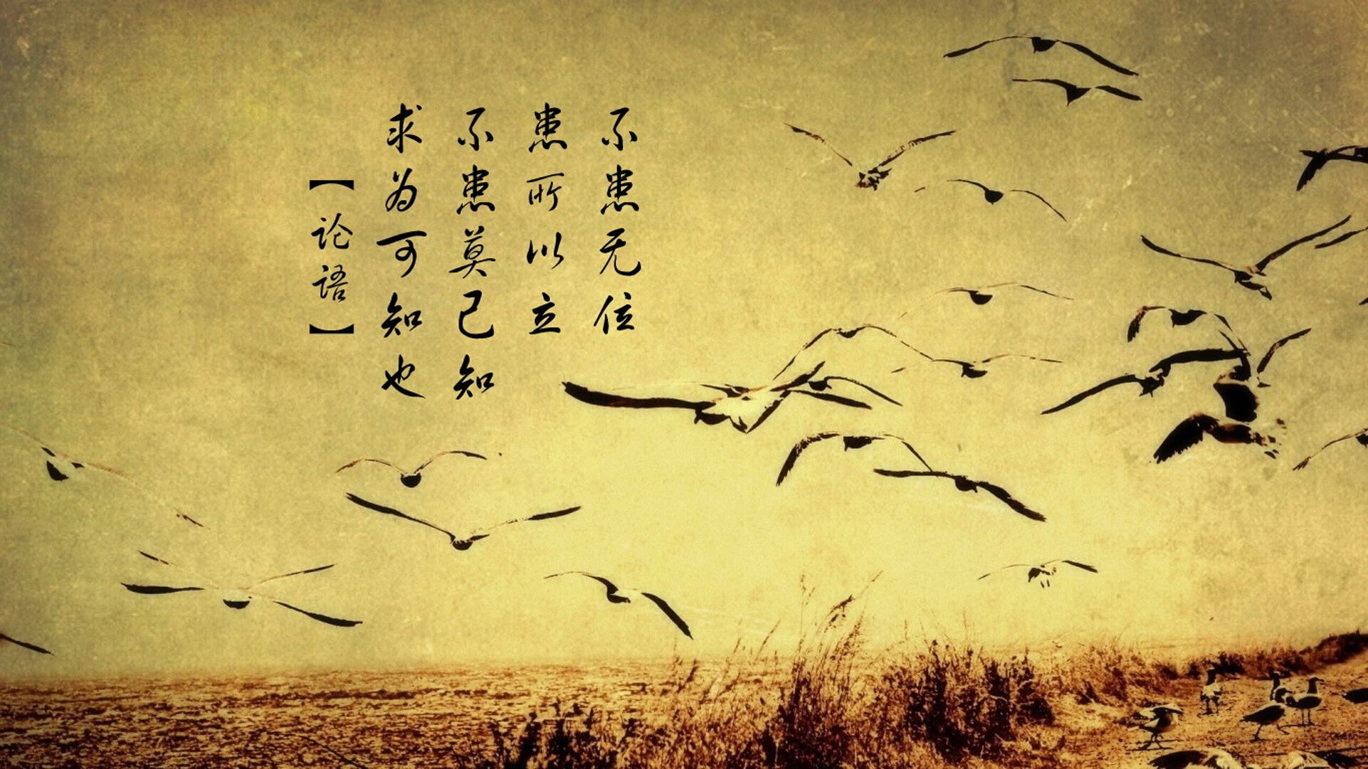 开云下载-2026世界杯C组焦点战，匈牙利铁骑压制加纳，C罗以不朽之躯重写传奇