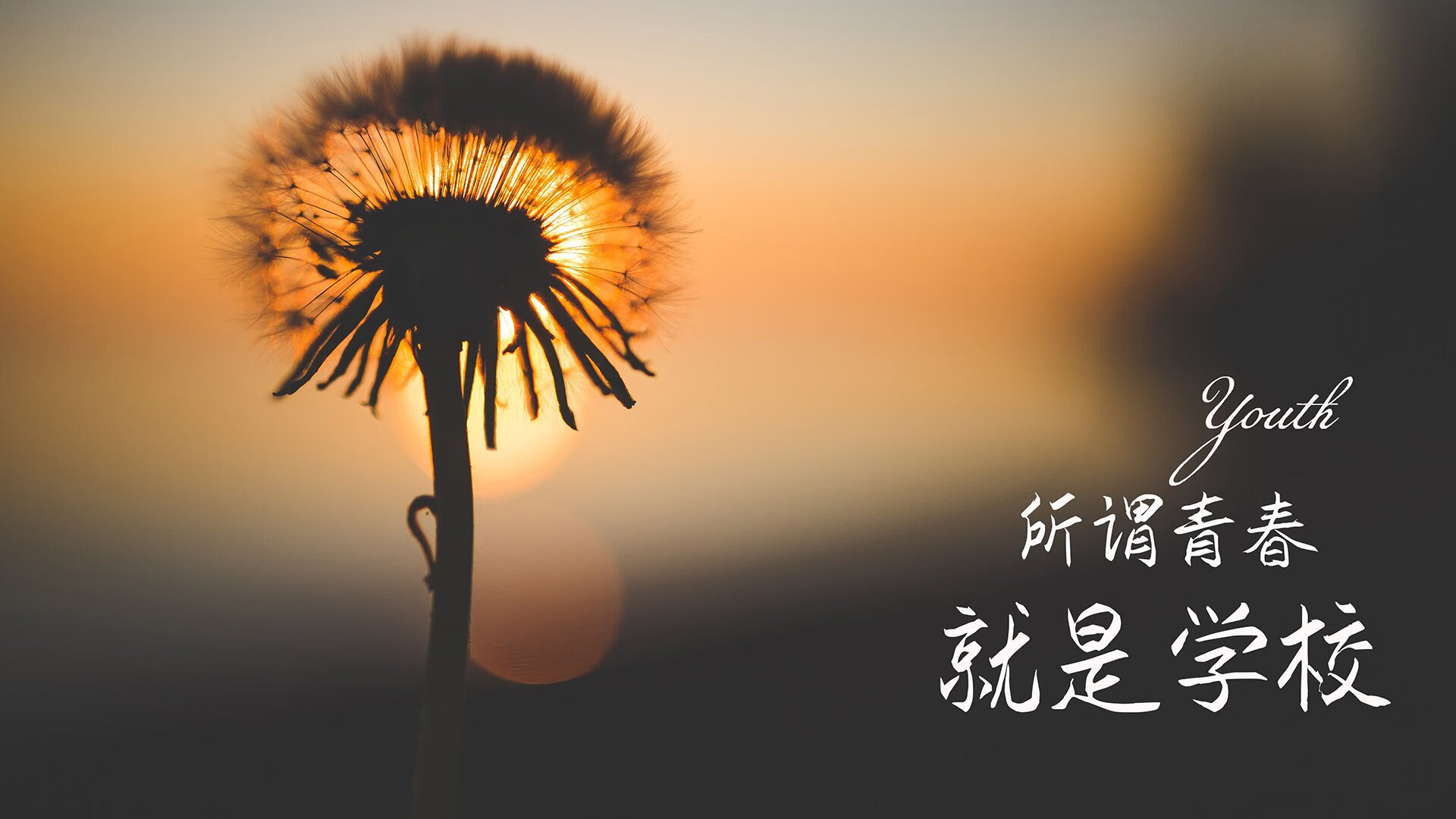 魔幻之夜，匈牙利逆转日本，萨卡闪耀全场引领2026世界杯C组强强对话