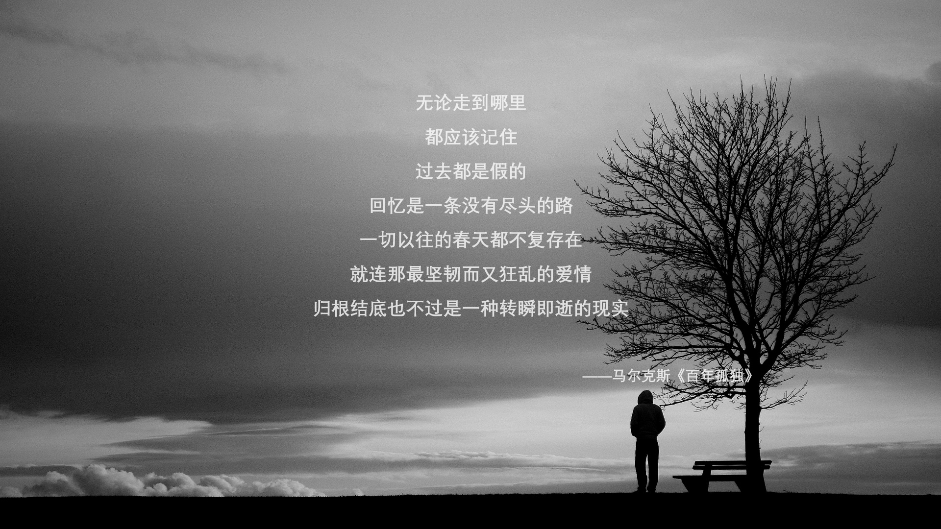 南美劲旅崛起—2026世界杯焦点战，哥伦比亚力克德国，孙兴慜带队上演亚洲荣耀