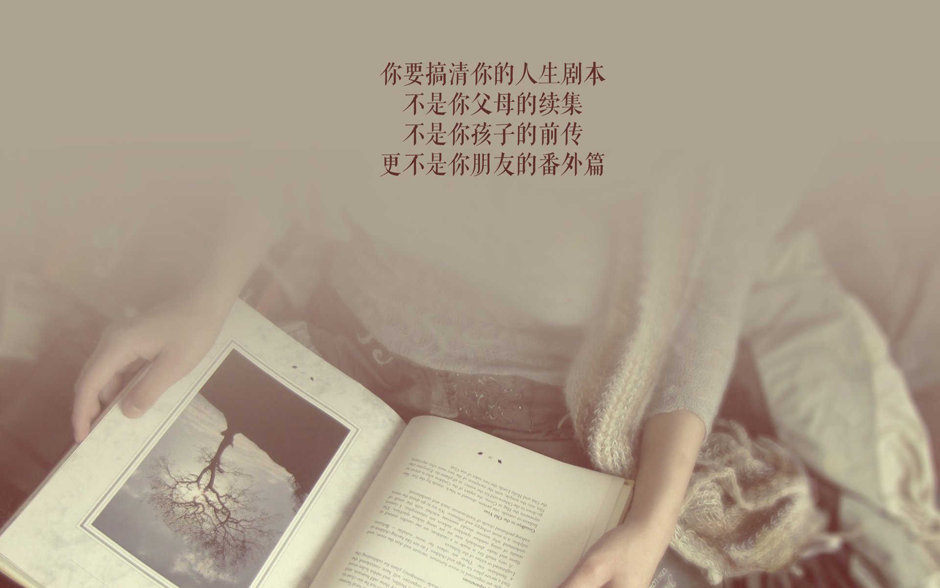 王者锋芒，奥地利碾压摩洛哥，穆西亚拉致命一击定乾坤